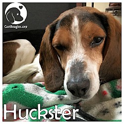 Thumbnail photo of Huckster #1