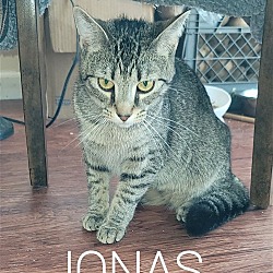 Thumbnail photo of Jonas #3