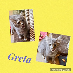 Photo of Greta