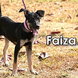 Thumbnail photo of Faiza from Taiwan #4