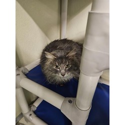 Photo of BLUE