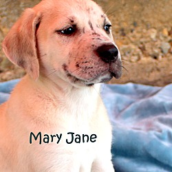 Thumbnail photo of Mary Jane~adopted! #1