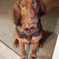 Photo of Annie 