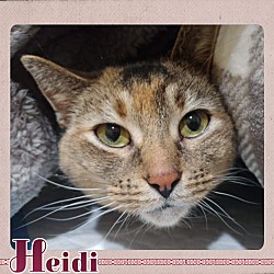 Thumbnail photo of Heidi #1