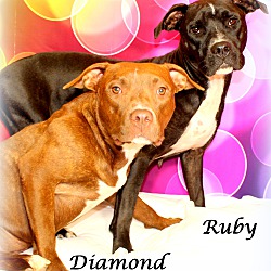 Thumbnail photo of Ruby ~ meet me! ~ #4