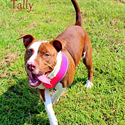 Thumbnail photo of Tally ~ meet me! #4