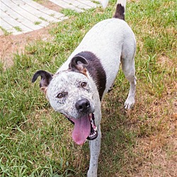 Thumbnail photo of Spot #2