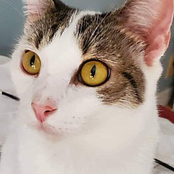 Photo of Bebe