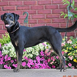 Photo of SYBIL