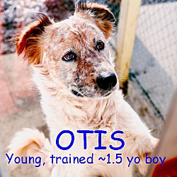 Thumbnail photo of OTIS #1