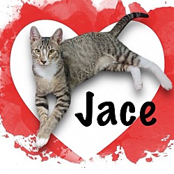 Thumbnail photo of Jace #2