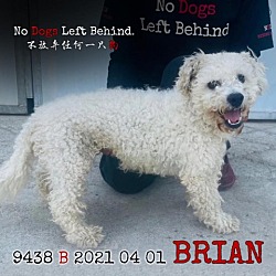 Photo of Brian 9438