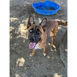 Photo of HUGO
