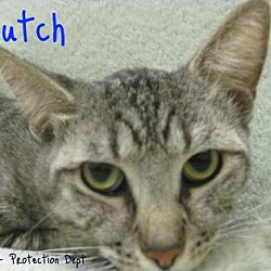 Thumbnail photo of Hutch #2