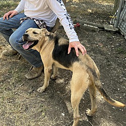 Photo of Thor
