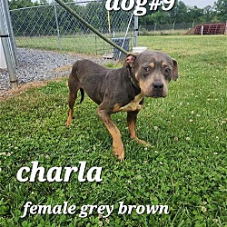 Photo of Charla