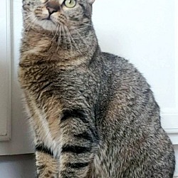 Photo of Cleocatra (bonded with Bubbles)