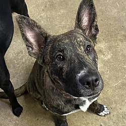 Photo of Cali