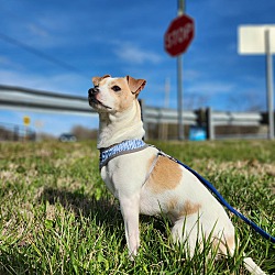 Photo of Dimitri