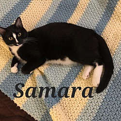Thumbnail photo of Samara #3