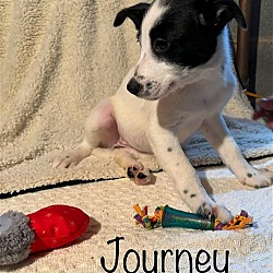 Thumbnail photo of Journey #2