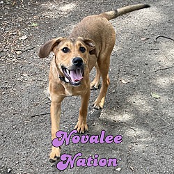 Thumbnail photo of Novalee Nation #1