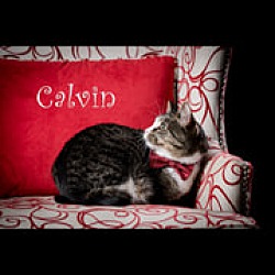 Thumbnail photo of Calvin Coolidge II #4