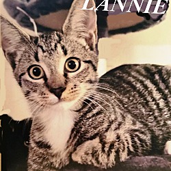 Photo of Lannie