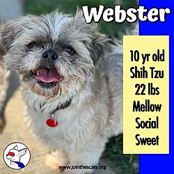 Thumbnail photo of Webster #1