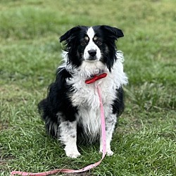 Photo of Leroy