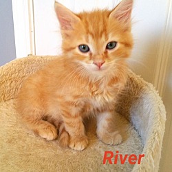 Thumbnail photo of River #1