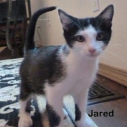Thumbnail photo of Jared #1