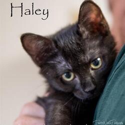 Photo of HALEY