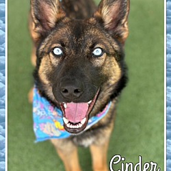 Photo of CINDER