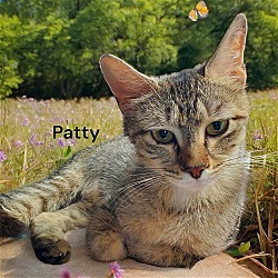 Photo of Patty