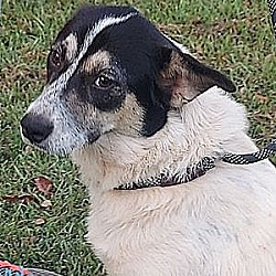 Photo of Jada sb