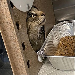 Photo of Quill