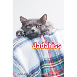 Thumbnail photo of JadaHiss #1