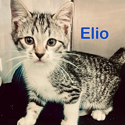 Photo of Elio