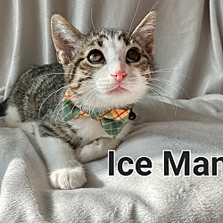 Photo of Ice Man