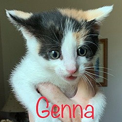 Thumbnail photo of Genna #3