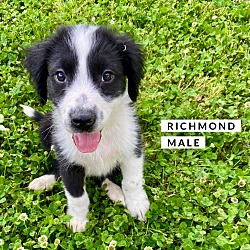Thumbnail photo of Richmond #2