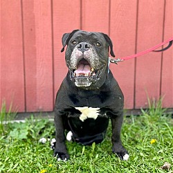 Photo of Magnus