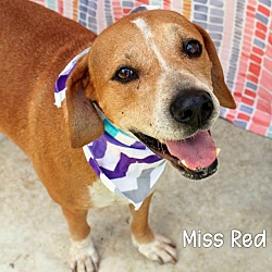 Thumbnail photo of Miss Red #1