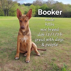 Thumbnail photo of Booker #2