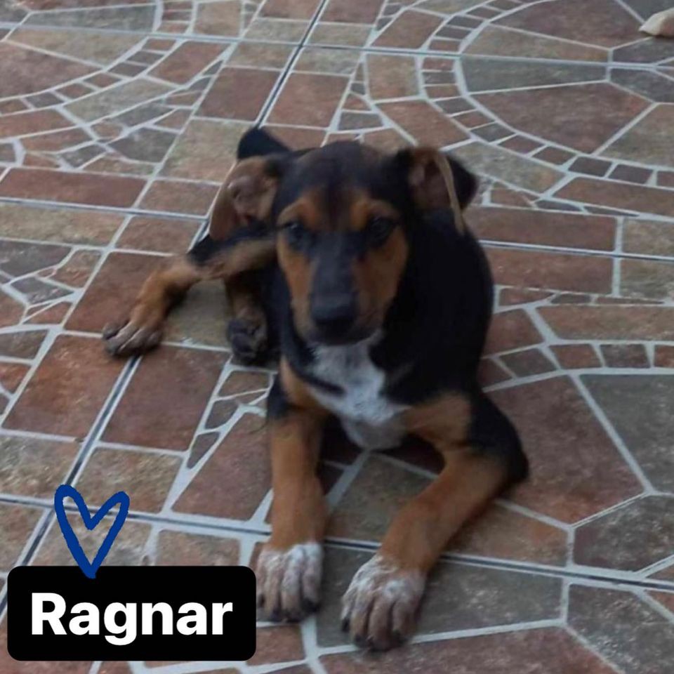 Ragnar
