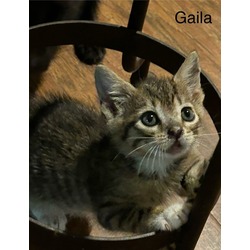 Photo of Gaila