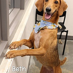 Thumbnail photo of Beth #1