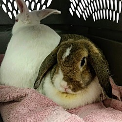 Photo of Forever in Our Care: Candy