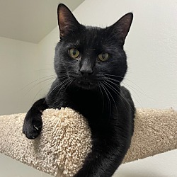 Photo of Lucky
